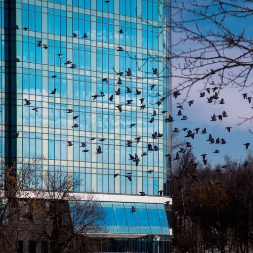 window-film -guide-apratment-in-new jersey